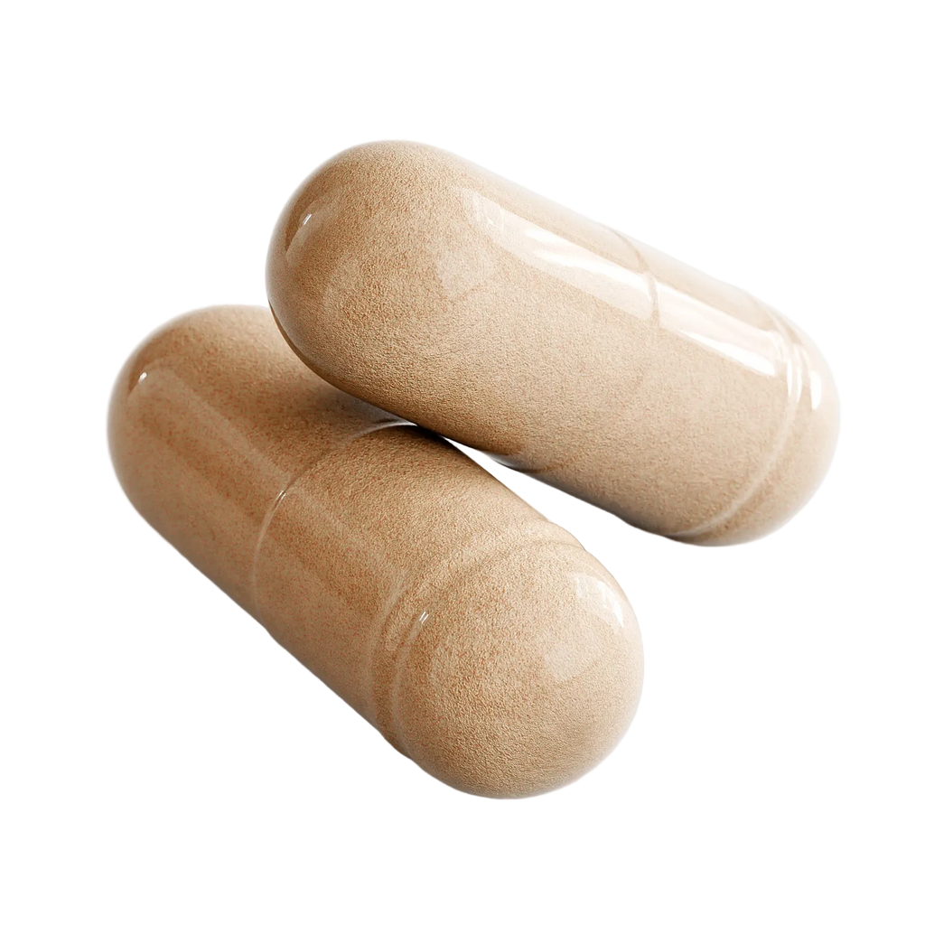 MACA ROOT