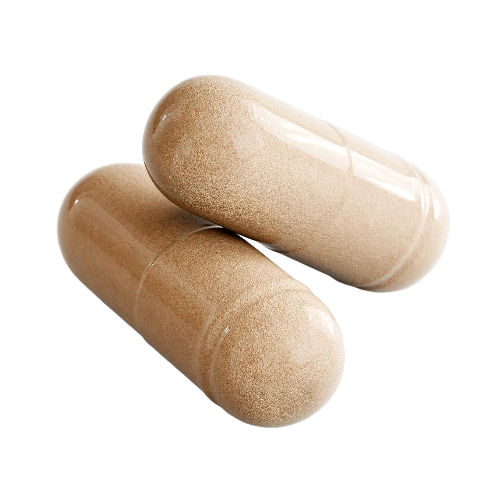 MACA ROOT